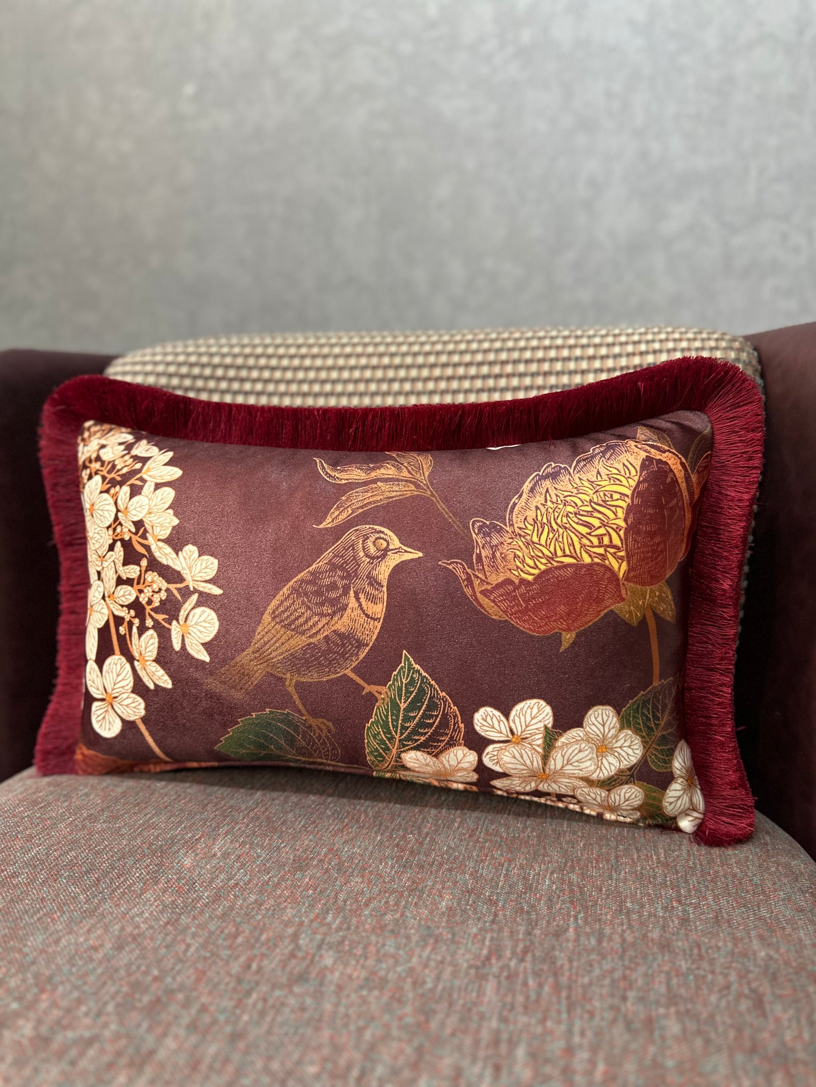 ROBIN-9372 BORDO