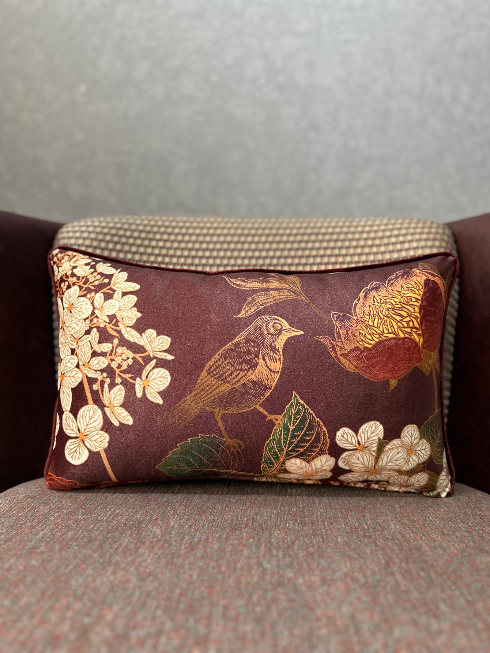 ROBIN-9372 BORDO